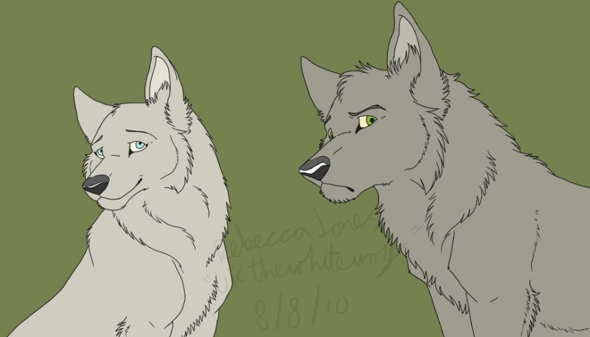 Gray Wolf Cartoon Drawing Coyote Line Art - Wolfs Transparent PNG