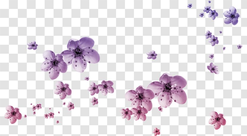 Petal Flower Clip Art - Theme - Plum Float Transparent PNG