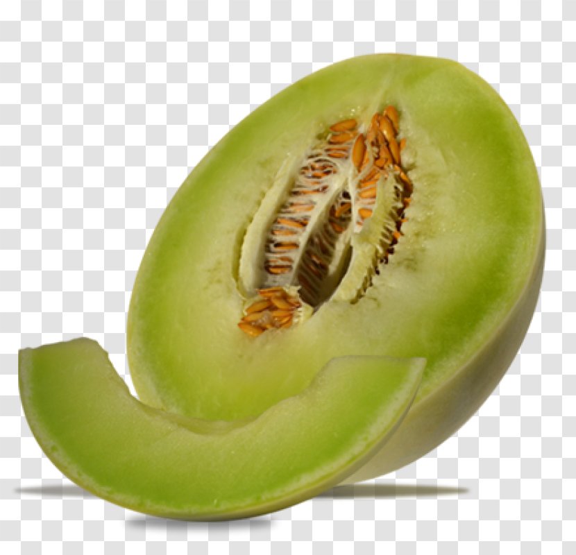 Honeydew Watermelon Galia Melon Cucumis Transparent PNG