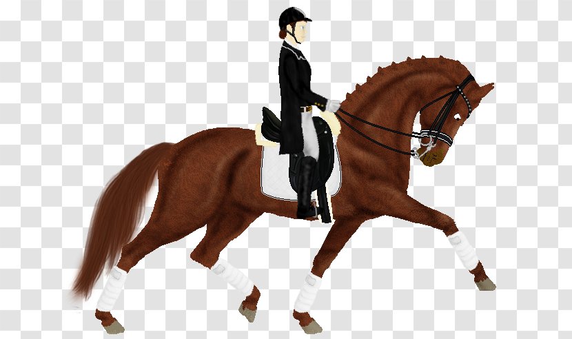 Hunt Seat Stallion Dressage Rein Mustang - English Riding Transparent PNG