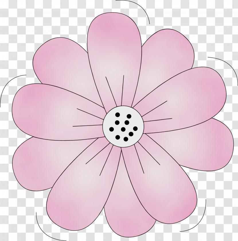 Petal Pink M Flower Plants Science Transparent PNG