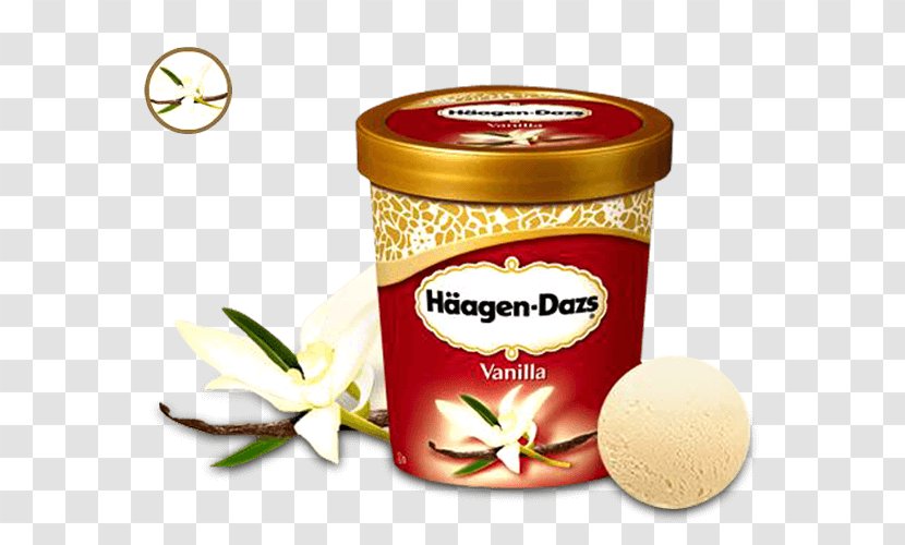 Ice Cream Häagen-Dazs Chocolate Brownie Pizza Transparent PNG