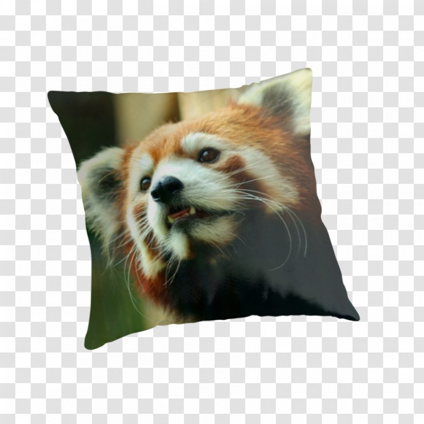 Red Panda Throw Pillows Cushion Whiskers Giant - Fur Transparent PNG