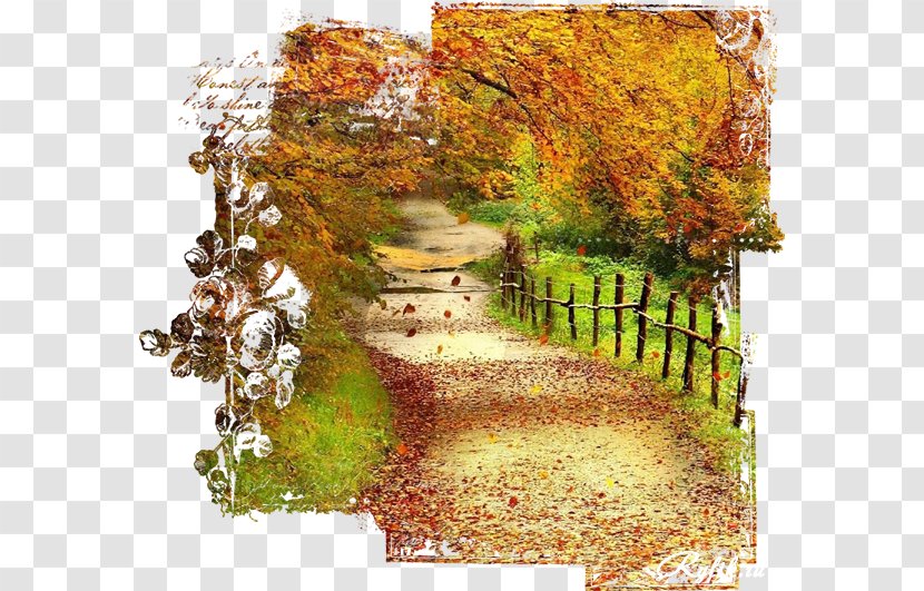 Desktop Wallpaper Download 1080p - Display Resolution - Autumn Background Transparent PNG
