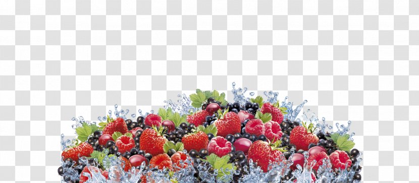 Juice Fruit Fruchtsaft Capri Sun Auglis - Flowering Plant - Fruits Transparent PNG