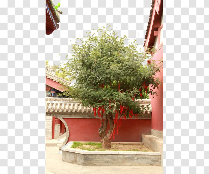 Lam Tsuen Wishing Trees Temple - Corner Transparent PNG