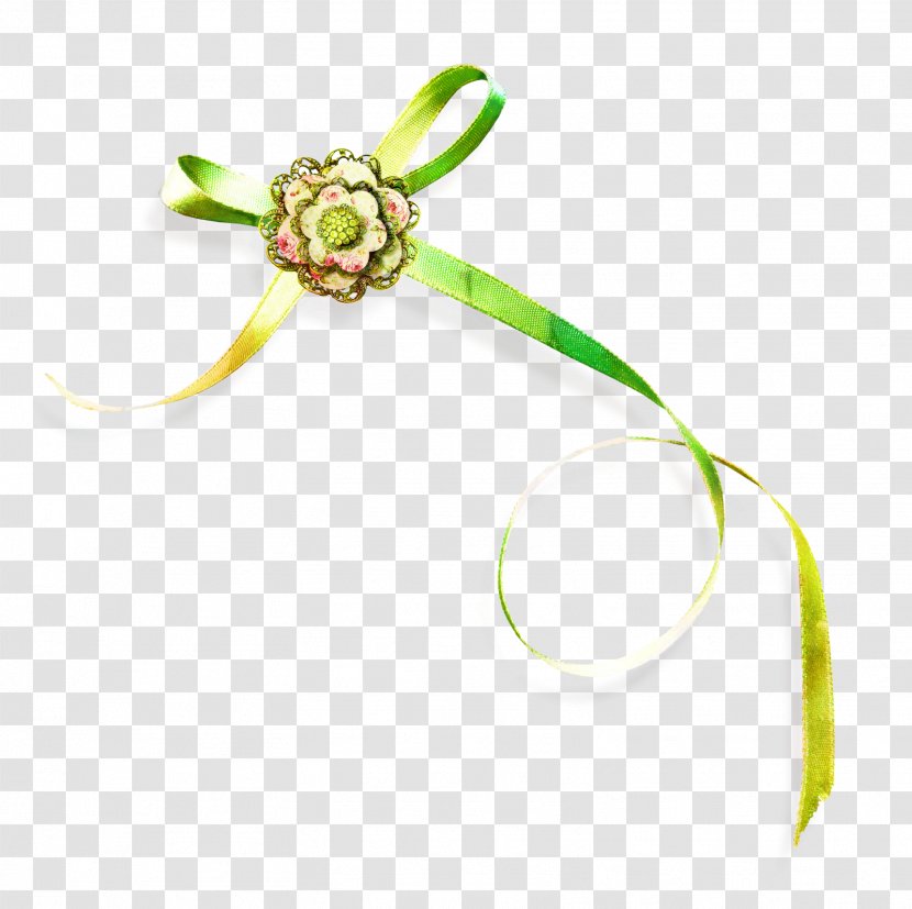 Green Flower - Plant Stem Transparent PNG