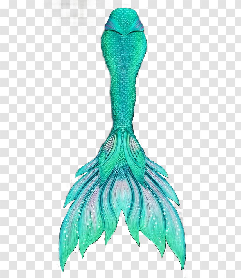 Mermaid Tail Merman Finfolk Legend - Aqua Transparent PNG