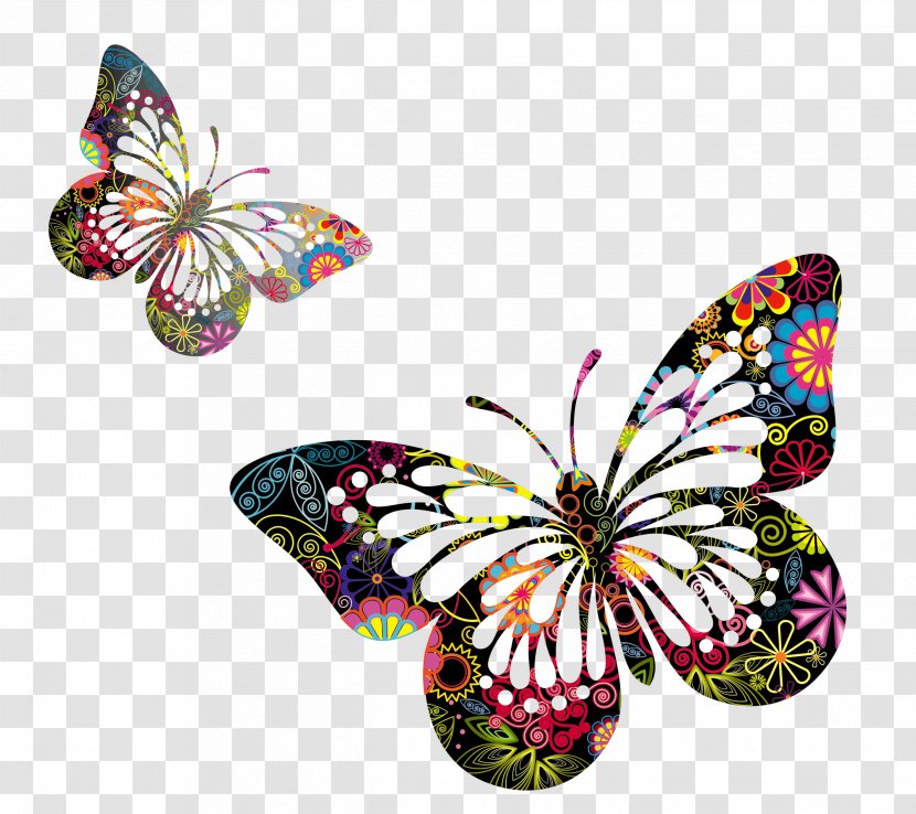 Butterfly Drawing Painting Wallpaper - Moths And Butterflies - Vector Picture Transparent PNG