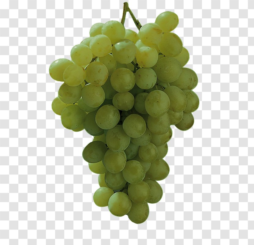 Sultana Muscat Pedro Ximénez Caladoc Wine - Common Grape Vine Transparent PNG