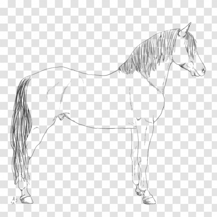 Standing Horse Pony Line Art Sketch - Head Transparent PNG