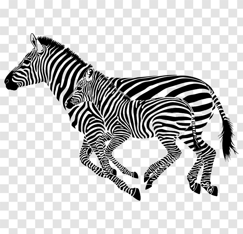 Horse Zebra Wall Decal Sticker - Fauna Transparent PNG