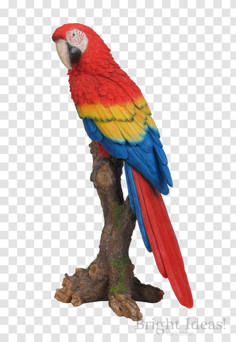 Budgerigar Scarlet Macaw Lovebird - Art - Bird Transparent PNG
