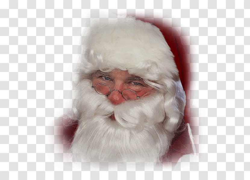 Santa Claus Mrs. Christmas Easter Bunny Gift - Flower - Papa Transparent PNG