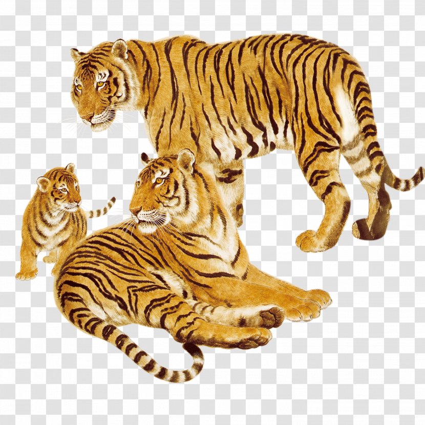 Tiger Animal Cat Wildlife - Hand-painted Animals Transparent PNG