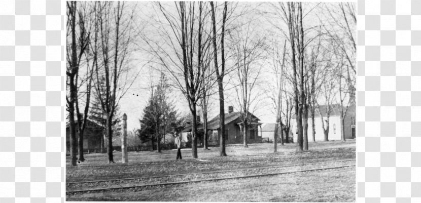 Worthington Historical Society Walking Tour At Walnut Grove Cemetery West New England Avenue Photography - Bayou - C Ray Transparent PNG