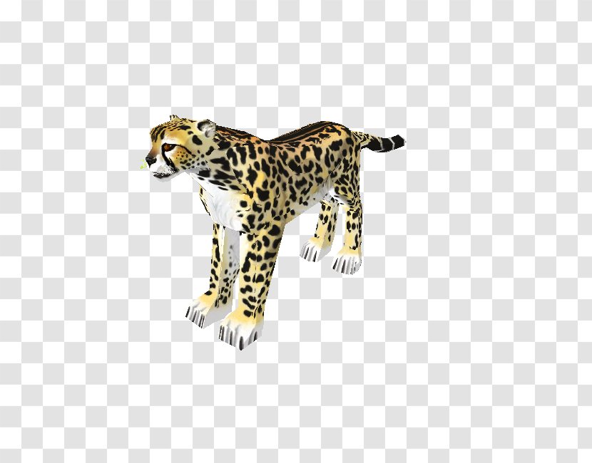 Leopard Cheetah Jaguar Tiger Terrestrial Animal - Big Cats Transparent PNG