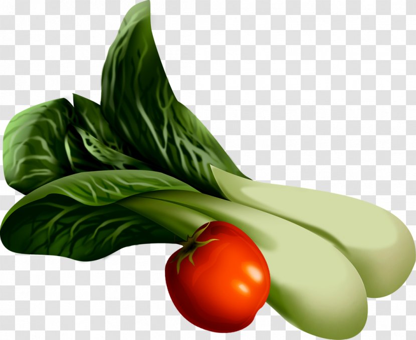 Tomato Vegetable Vegetarian Cuisine Food Chard - Radish - 世界地圖 Transparent PNG