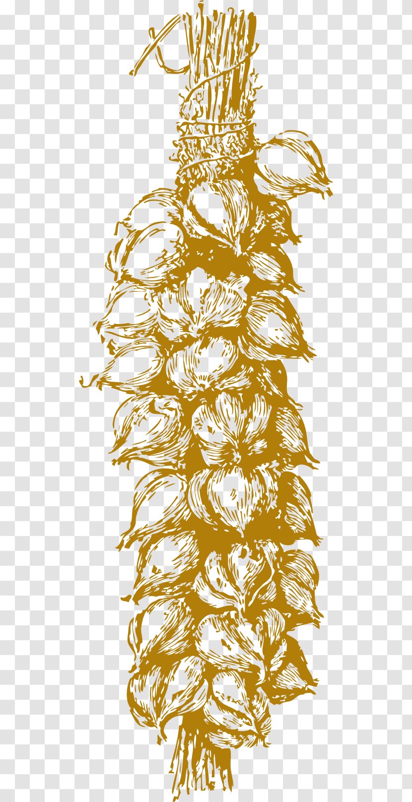 Garlic Bread Clove - Flower Transparent PNG