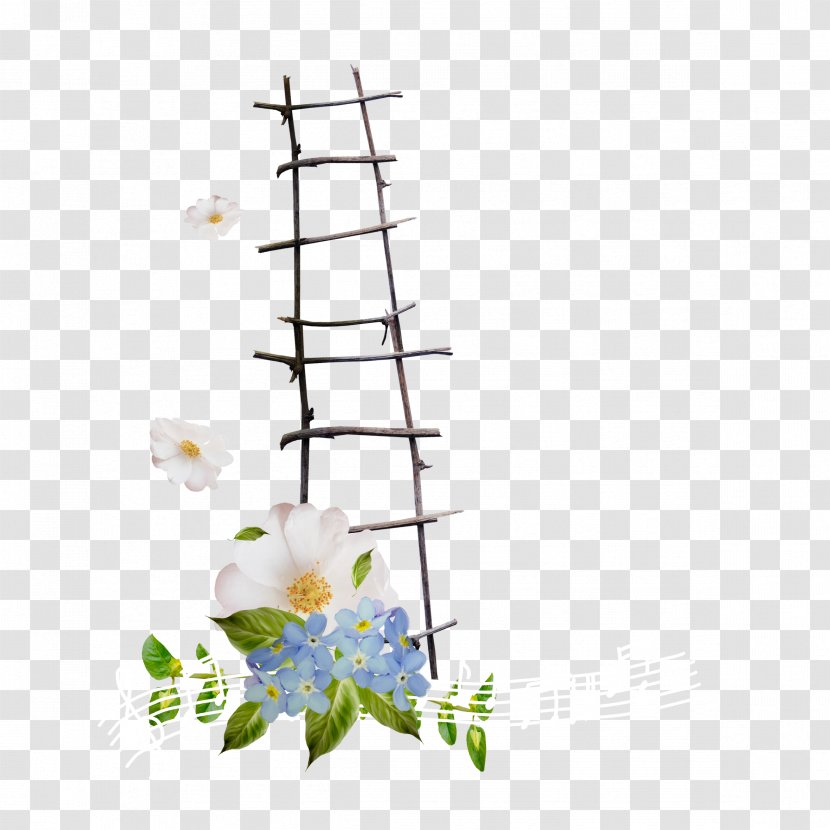 Ladder Stairs Transparent PNG