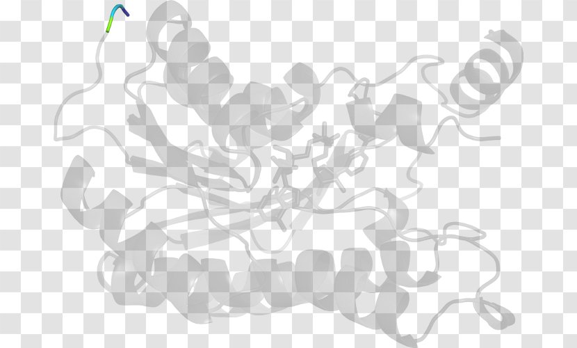 White Pattern - Leaf - Design Transparent PNG