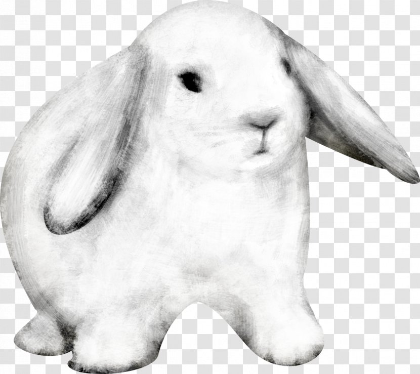 Domestic Rabbit Easter Bunny Transparent PNG