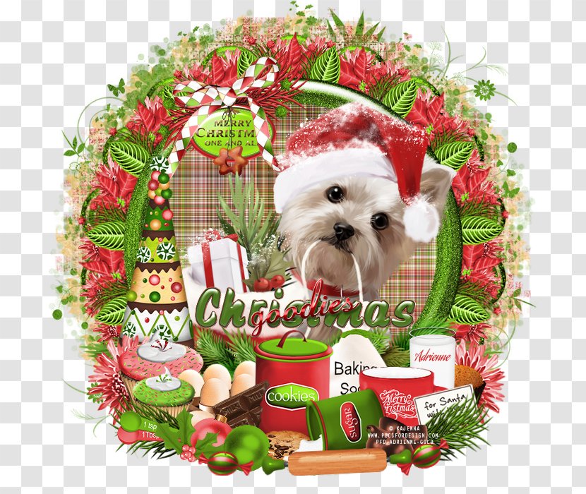 Dog Breed Shih Tzu Puppy Companion Christmas Ornament - Crossbreed Transparent PNG