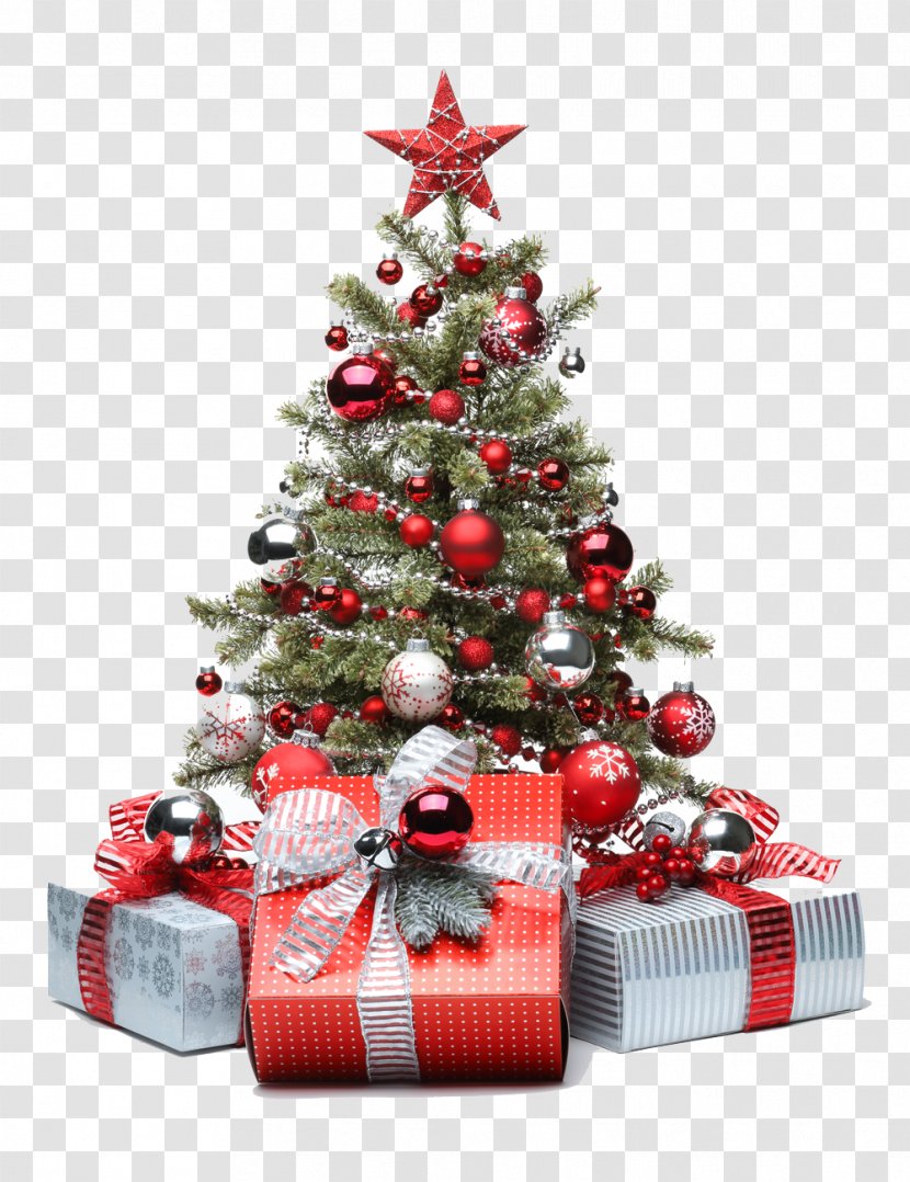 Christmas Tree Santa Claus Gift And Holiday Season - Small Transparent PNG
