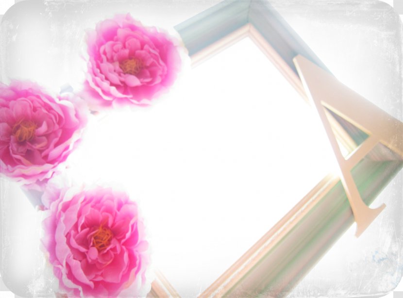 Flower Garden Roses Floral Design Floristry - Pink - Shabby Chic Transparent PNG