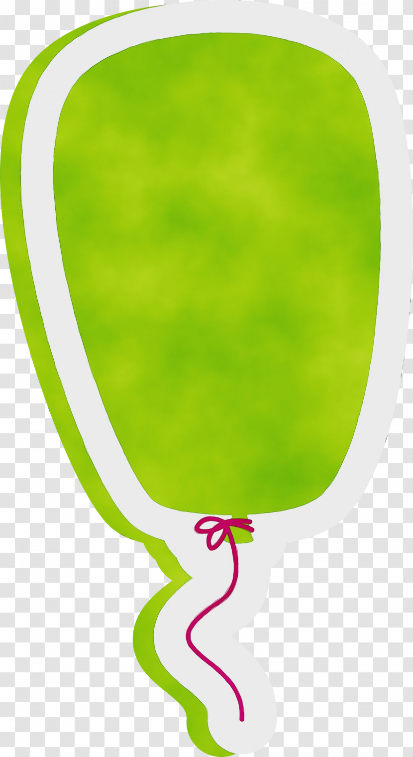 Leaf Green Meter Line Biology Transparent PNG