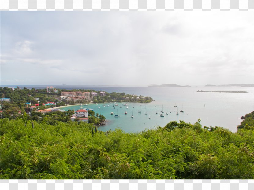 Fjord Coast Inlet Loch Bay - Virgin Islands Transparent PNG