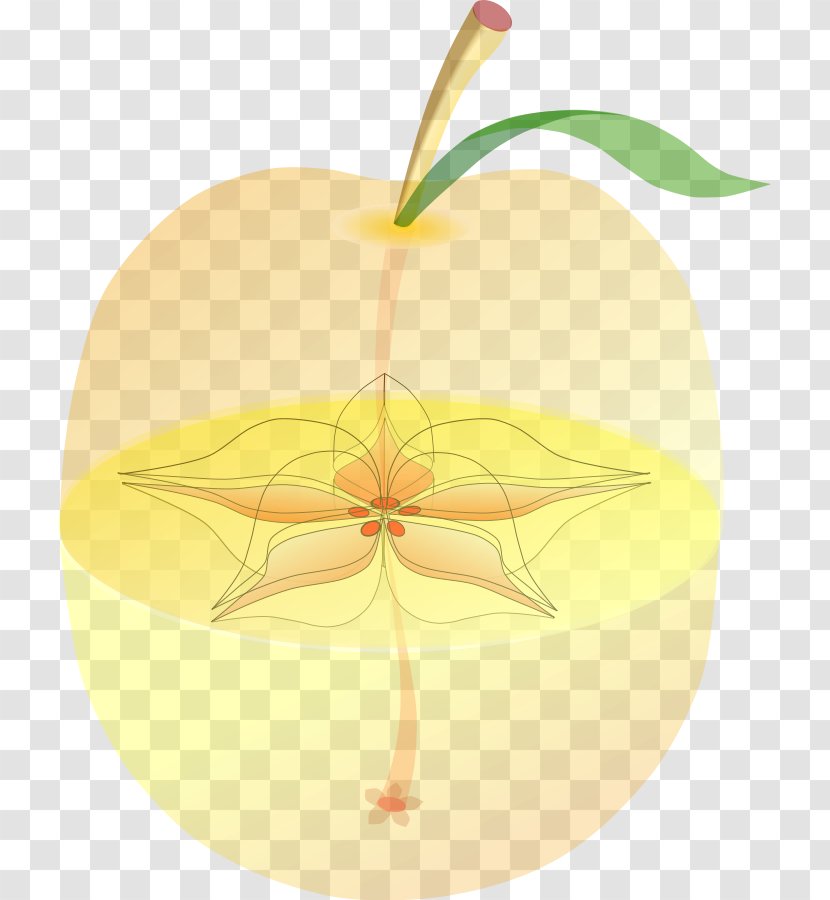 Apple Food Fruit Peach - Leaf - Plant Transparent PNG