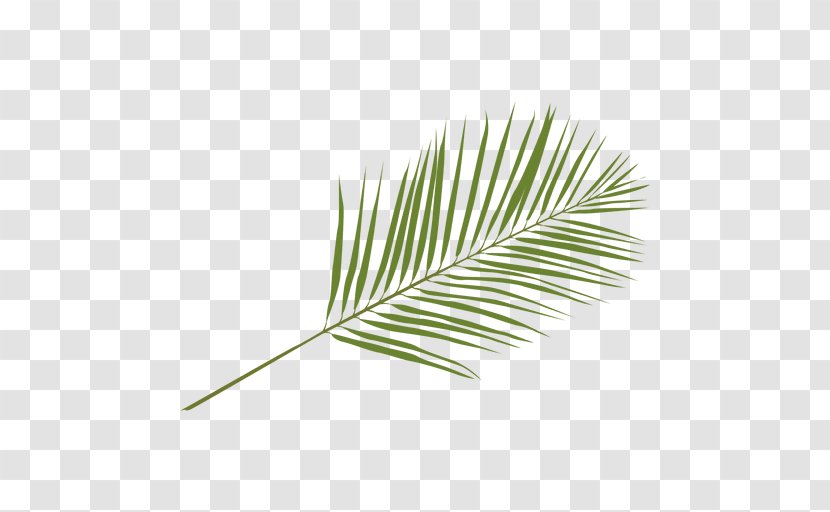 Arecaceae Leaf Palm Branch Areca - Transparency And Translucency Transparent PNG