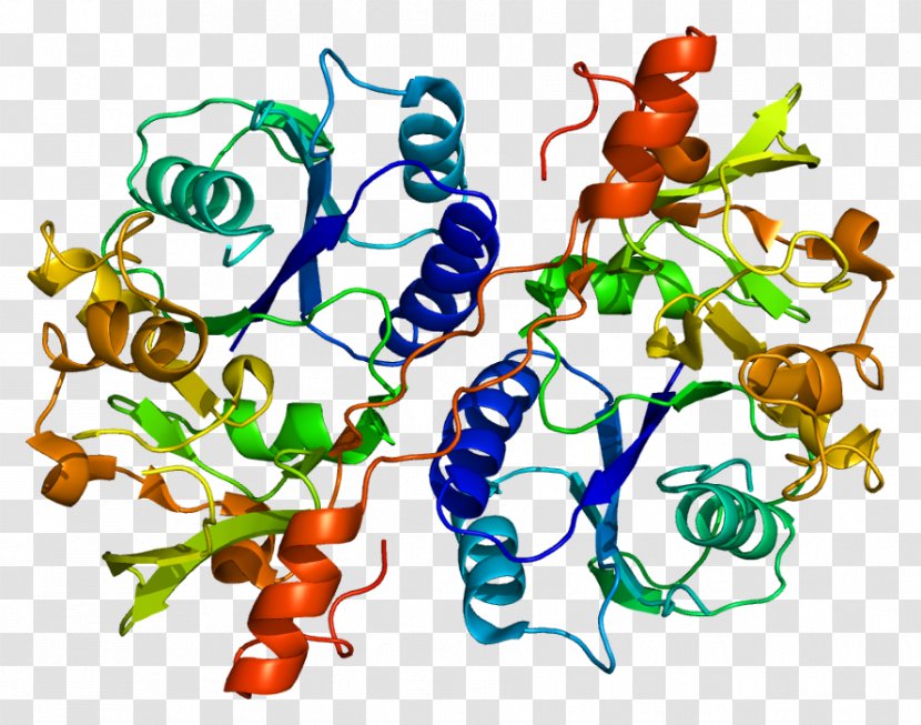 Glucuronosyltransferase B3GAT3 Protein Gene Enzyme - Silhouette - Platelets Transparent PNG