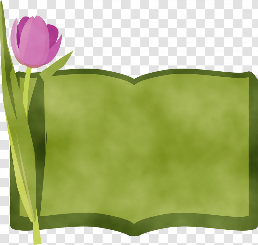 Leaf Rectangle Green Petal Flower Transparent PNG