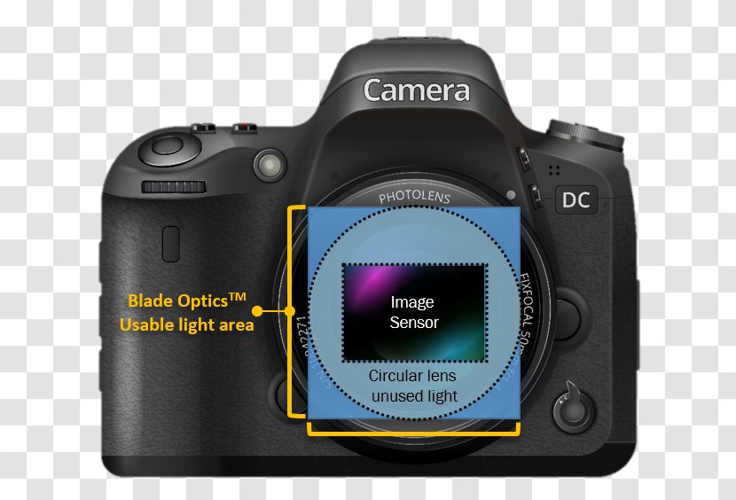 Digital SLR Camera Lens Mirrorless Interchangeable-lens Single-lens Reflex - Single Transparent PNG