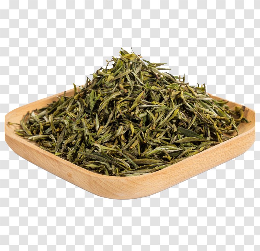 Green Tea Hu014djicha Nilgiri Gyokuro - Shincha - A Leaves Transparent PNG