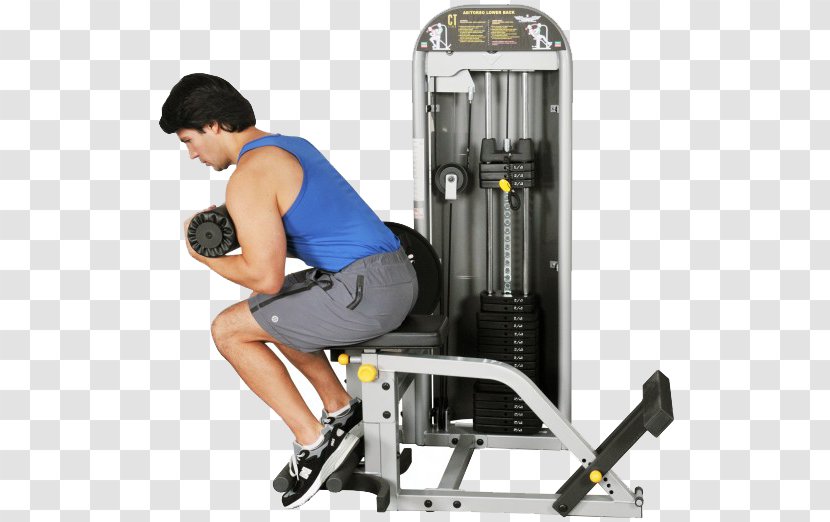 Exercise Machine Equipment Human Back Crunch - Latissimus Dorsi Muscle Transparent PNG