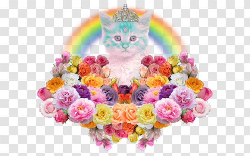 Kitten Cat YouTuber Soft Grunge - Sticker Transparent PNG