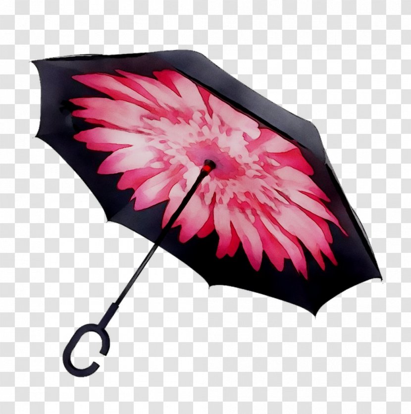 Umbrella Clothing Accessories Antuca Wallet Rain - Blue - Pink Transparent PNG