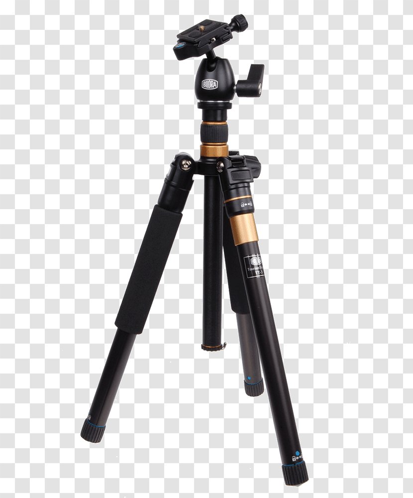 Tripod Bilora Travel Monopod Photography - Weight - Sculpture Transparent PNG