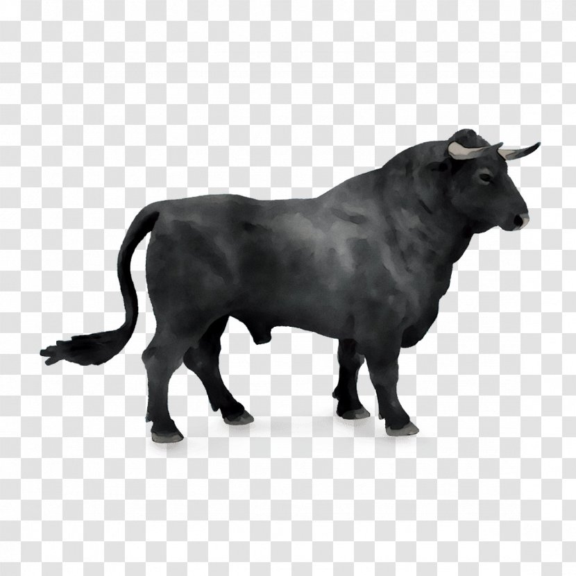 Spanish Fighting Bull Taurine Cattle Horn Symbol - Cowgoat Family Transparent PNG