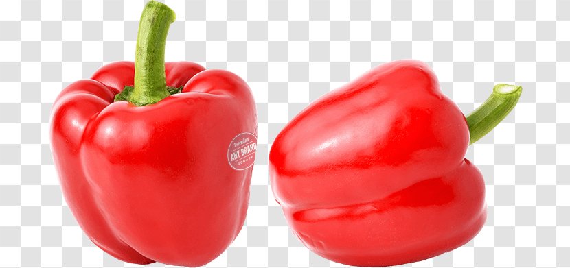 Habanero Piquillo Pepper Serrano Tabasco Cayenne - Pimiento - Potato And Tomato Genus Transparent PNG