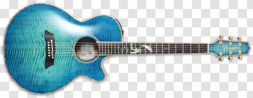 Takamine Guitars Electric Guitar Ibanez Acoustic - Flower - Limited Edition Transparent PNG