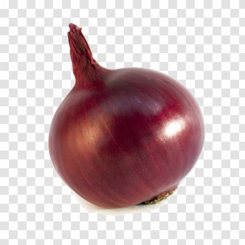 Shallot Vegetable Food Red Onion Fruit - Superfood - Interface Transparent PNG