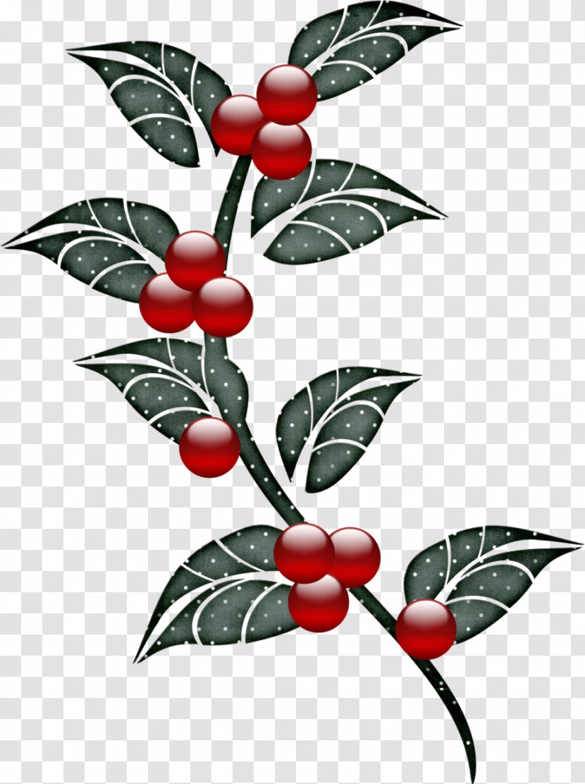 Common Holly Poinsettia Pin Christmas Day Aquifoliales - Email - Feuilles De Houx Transparent PNG