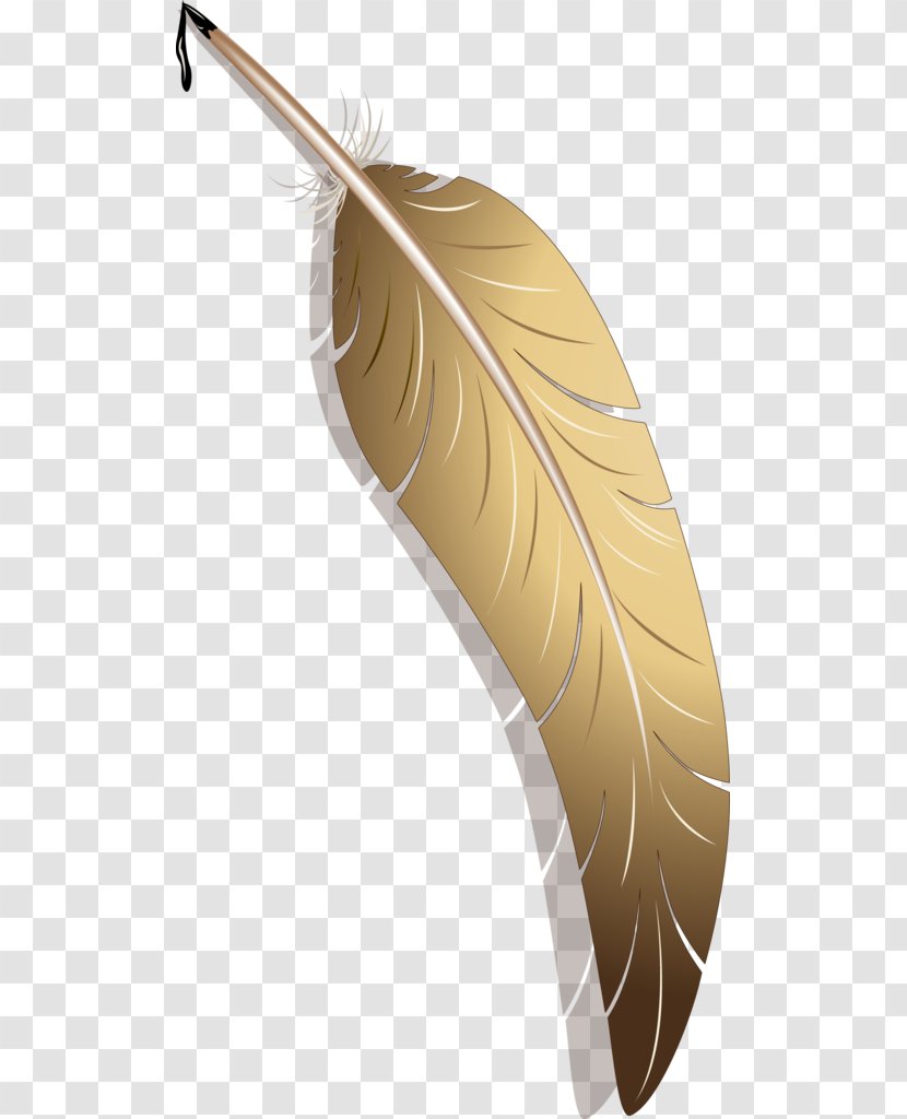 Quill Vector Graphics Paper Image - Feather - Pen Transparent PNG