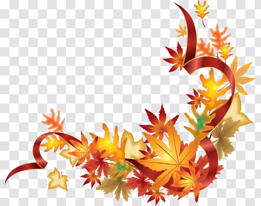 Autumn Leaf Color - Plant Transparent PNG