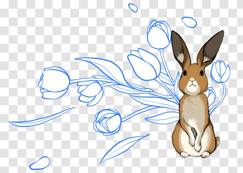 Domestic Rabbit Drawing Chinese Hare Animal - Vertebrate Transparent PNG