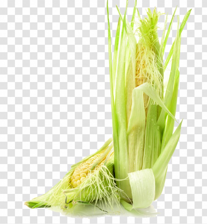Waxy Corn On The Cob Kernel Vegetable - Grass - Fresh Transparent PNG